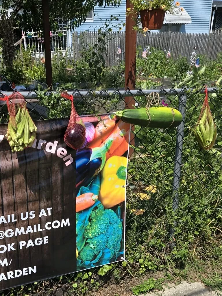 480857009 646008111411147 1578291552917029356 n