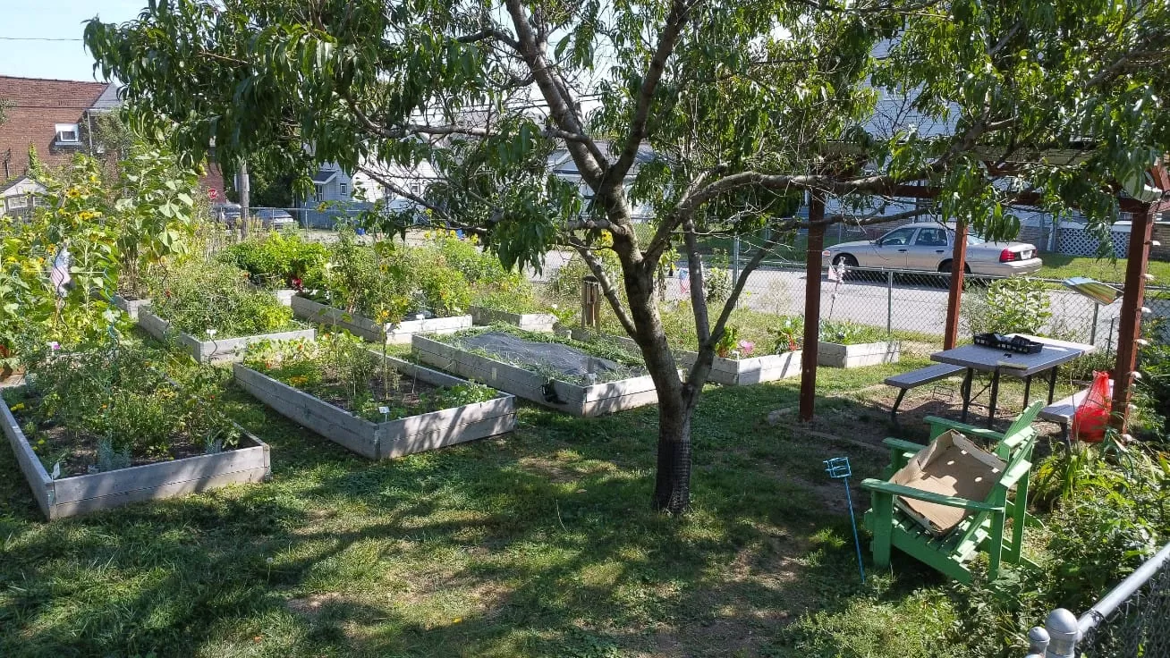 481073015 646501858028439 8630383388638667527 n