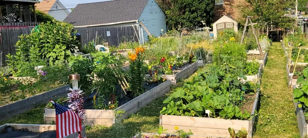 481336998 645861434759148 7412175336144594308 n